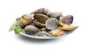 Vongole veraci