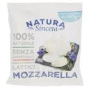 Mozzarella 100 g x4